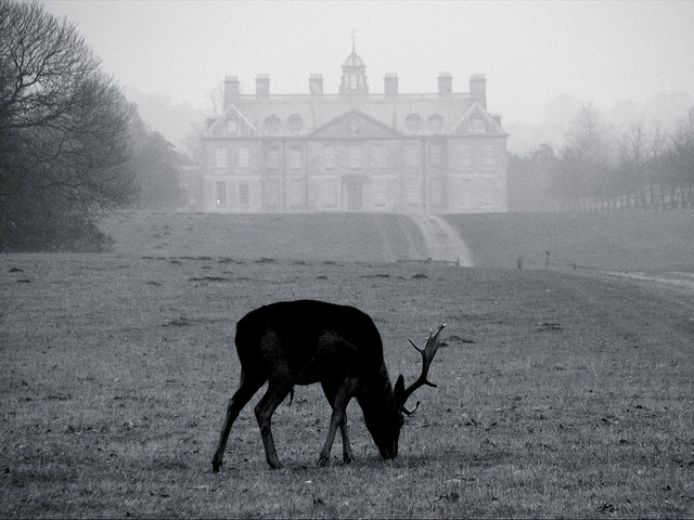 This is a picture of a castle with a deer in the foreground