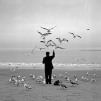 This is a thumbnail image of a man feeding birds. Please click image to open in higher resolution with audio presentation